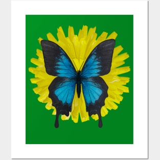 Dandelion Flower Blue Butterfly Posters and Art